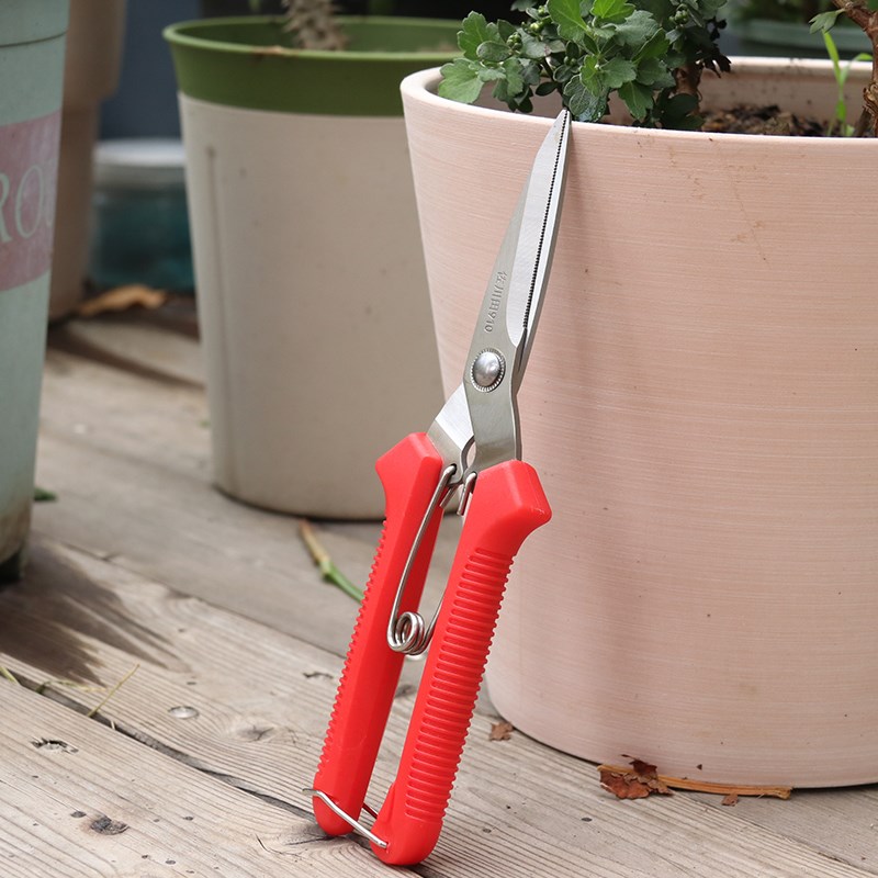 佐川田优质钢材园艺剪园林剪刀大力剪葡萄果蔬剪简易修枝剪工具