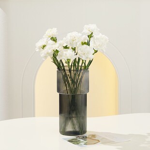 防摔塑料花瓶简约水养绿植鲜花玫瑰插花瓶耐摔不易碎结实桌面摆件