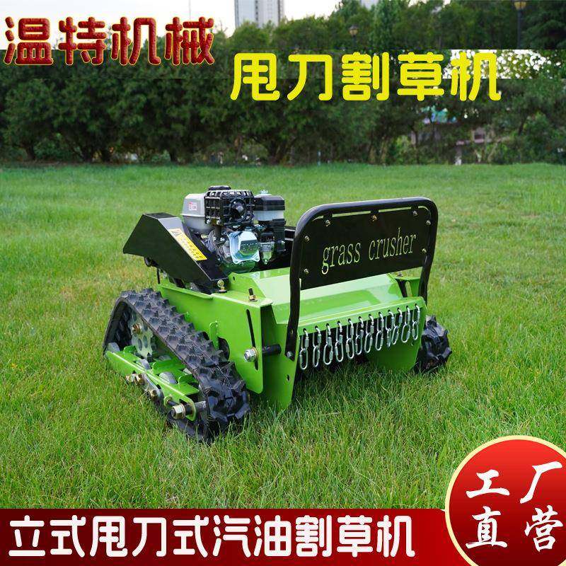 出口东南亚立式遥控履带割草机9马力甩刀园林碎草机农用除草机,农机/农具/农膜,割灌机/割草机/油锯,淘宝优惠券,粉丝福利购,淘宝优惠卷