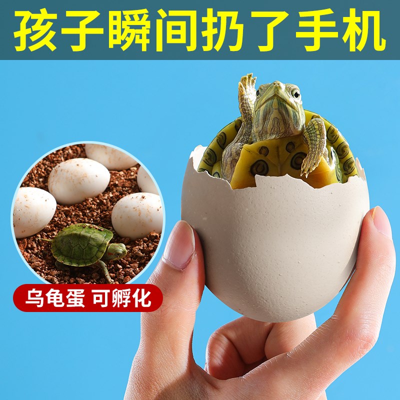 六一儿童节生日礼物12岁男孩的5五8女孩10男童7高端实用8以上男生