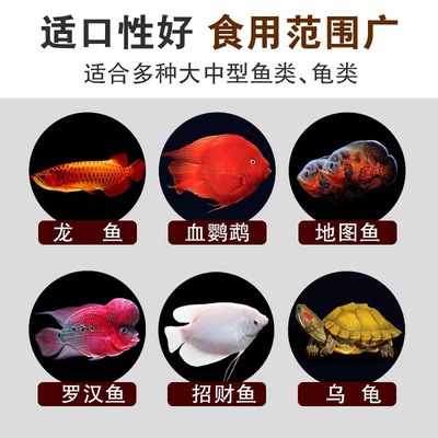 冻干虾南极磷虾干银龙鱼饲料血鹦鹉罗汉鱼热带鱼食锦鲤宠物乌龟粮