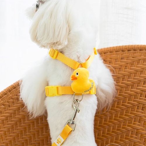 小狗狗牵引绳外出胸背带泰迪比熊贵宾幼犬遛狗链宠物背心式猫绳子