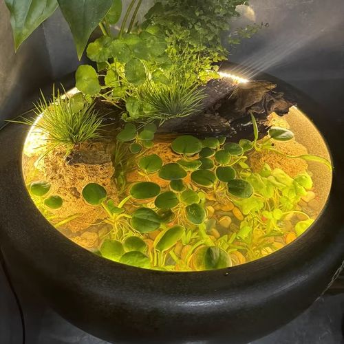 鱼缸专用灯带防水 古法养鱼led灯条自粘超亮免驱动带开关泡水底灯