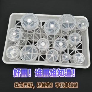 供应育苗筐特大组培盘塑料组培筐白色耐高温组培室专用筐土豆框