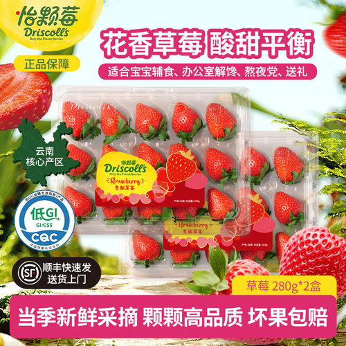怡颗莓云南红颜草莓酸甜美味