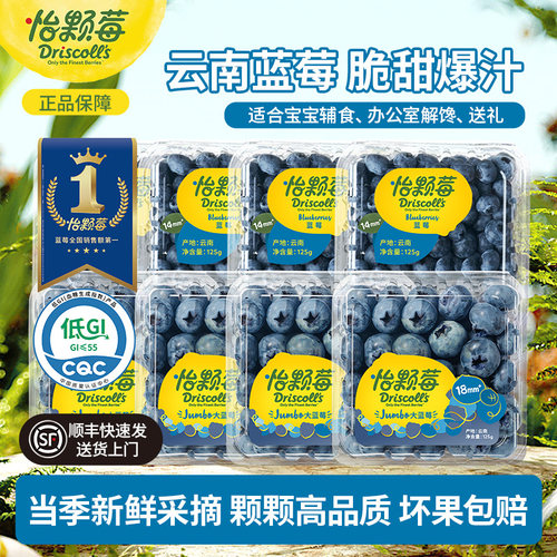 怡颗莓花香云南蓝莓新鲜酸甜