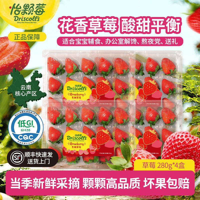 正宗怡颗莓云南红颜草莓酸甜应当季商用新鲜水果孕妇礼物宝宝辅食