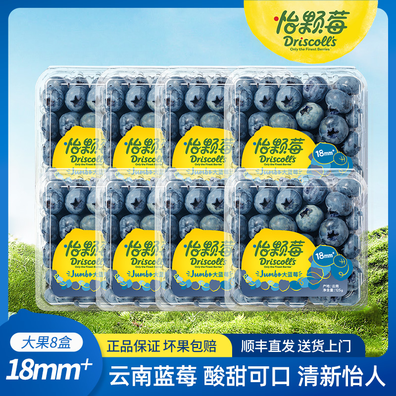 怡颗莓云南蓝莓125g/盒酸甜爽口