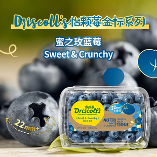 Driscoll's怡颗莓云南蓝莓花香新鲜水果超大果酸甜多汁蜜之玫22mm