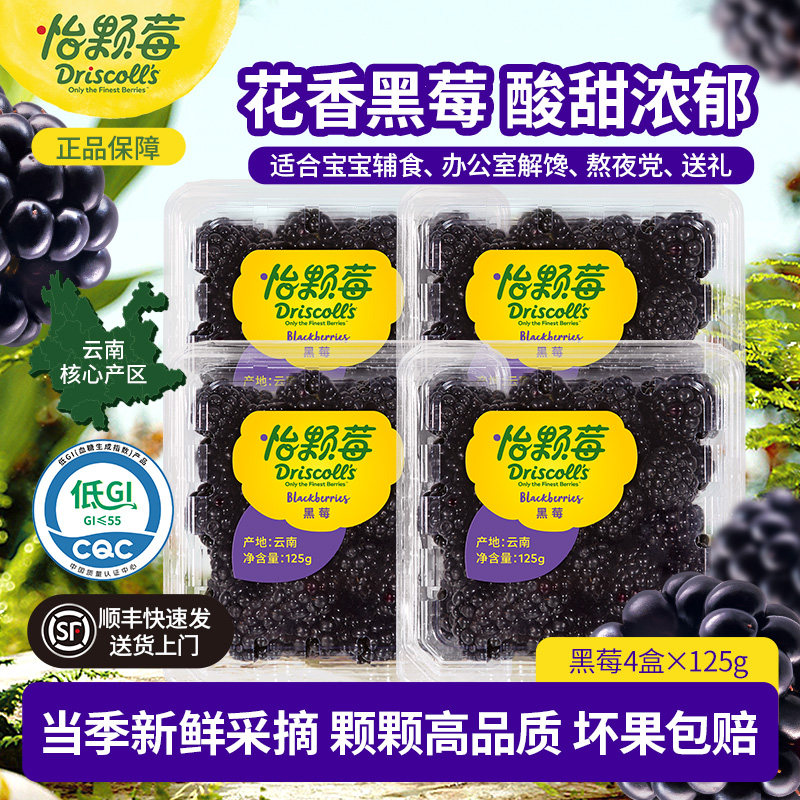 云南怡颗莓花香黑莓鲜果 当季新鲜花青素水果 大宝妈孕妇宝宝辅食