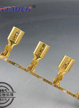 9.5插簧带刺连带横连带621-9.5-1.2C铜接线端子 357横连绕9.8