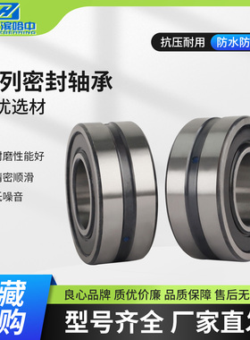 双列带密封调心滚子轴承BS2 2205 2206 2207 2208 2209 2210 2CS