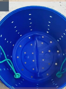 黑坑专用鱼护桶j加厚150大容量带孔漏水塑料桶养殖装鱼涂胶蓝色