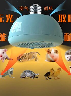 暖风灯保温灯养殖取暖灯雏鸡笼小鸡仔猫窝鸡鸭鸡房简单室内制热