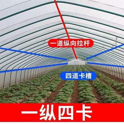 大棚骨架养殖蔬菜家用种植温室专业养猪棚羊棚养鸡牛棚全套钢管
