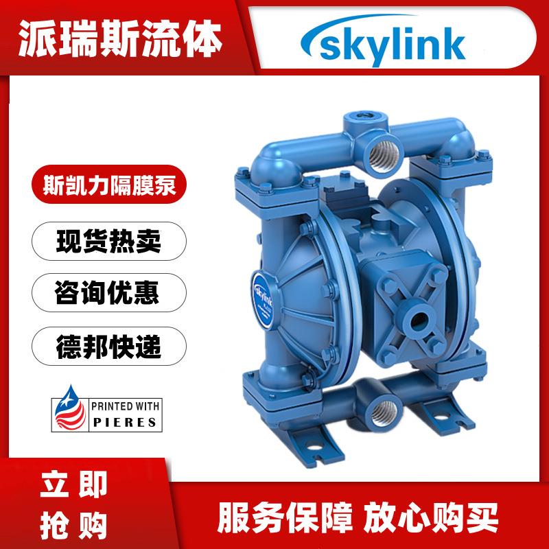 气动隔膜泵LS25CS-AA-SP-SP-SP-00铸铁溶剂液体输送泵1寸
