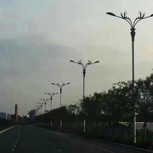 高桿燈led景觀燈庭院燈廠家供應單雙臂簡約路燈戶外照明燈投光燈