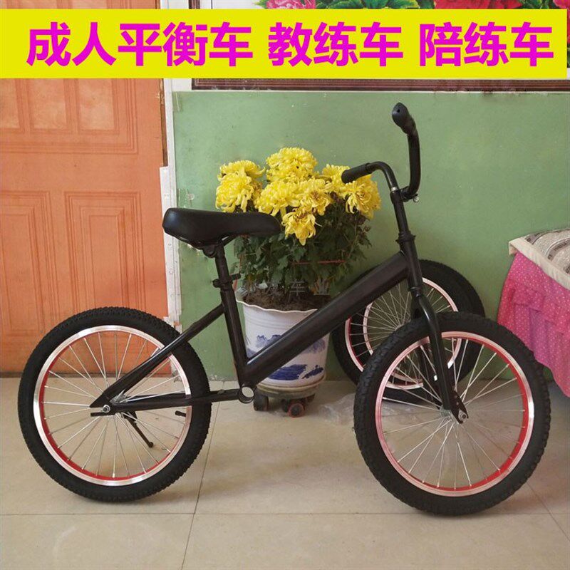 滑步车教练成人陪练车儿童平衡车教练车大尺码滑行车T大轮青少年1