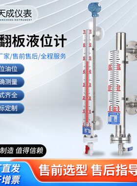 不锈钢磁翻板液位计防腐水位计带远传信号4-20mAV模拟量磁性输出