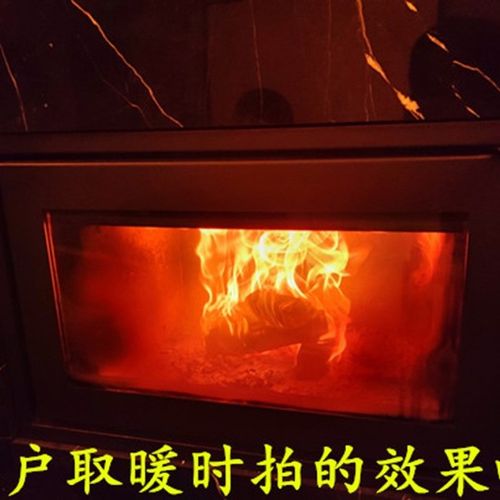 木柴真火壁炉木头取暖燃木壁炉木柴烧柴室内炉子压缩木柴户外柴火