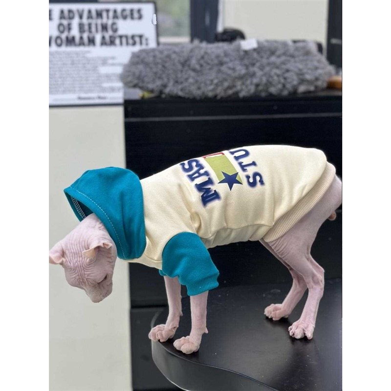 无毛猫纯棉保暖秋冬衣服1998拼色连帽卫衣斯芬克斯衣.服德文矮脚