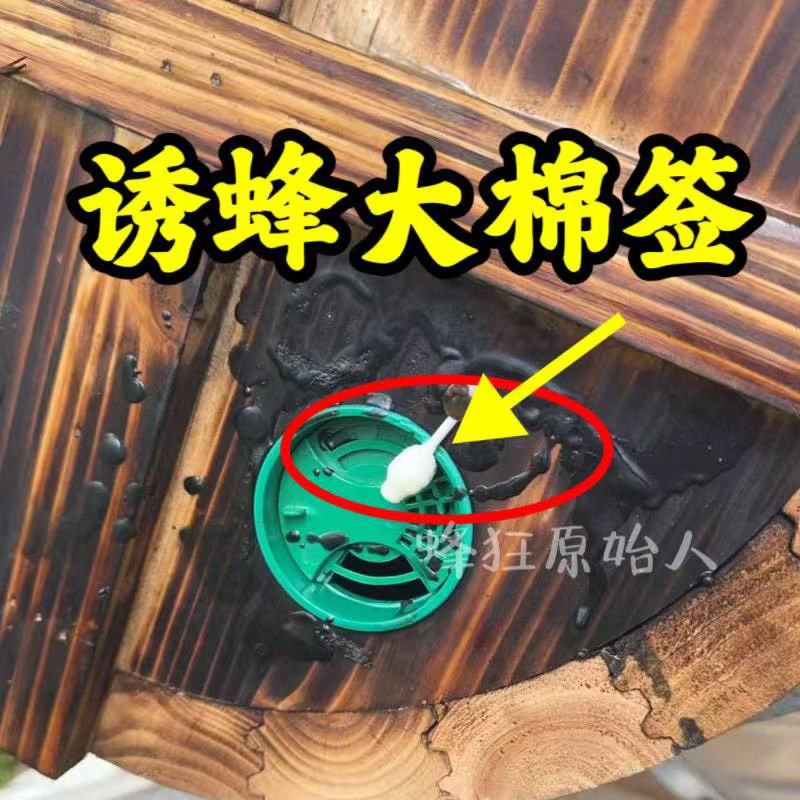 蜂具诱蜂信息素诱蜂大棉签蜂王信息素工蜂信息素口授信息2支一袋,畜牧/养殖物资,畜牧/养殖器械,淘宝优惠券,粉丝福利购,淘宝优惠卷