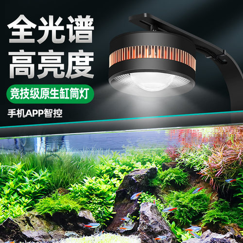 溪流缸灯鱼缸生态暴藻LED灯全光谱筒灯植物射灯观赏灯2025新款