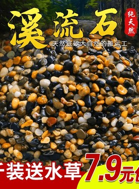 鱼池底部装饰品石头鱼缸里的庭院造景阳台摆件水缸水池小院流水景