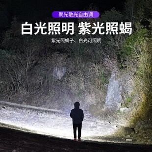 银诺照蝎子专用灯强光手电筒充电大功率超亮紫光超长续航手提灯