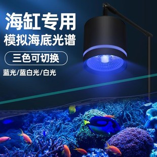 鱼缸海缸灯变色蓝光蓝白led可调筒灯海水缸水草珊瑚专用造景夹灯