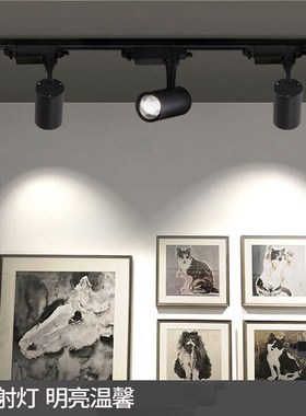 二线轨道射灯1600K1800K2000K2200K2700K3000K3500K5000K定制色温
