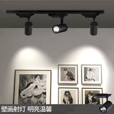 二线轨道射灯1600K1800K2000K2200K2700K3000K3500K5000K定制色温