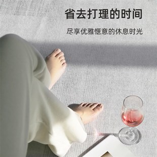 轻奢高级感卧室床边毯免洗可擦家用沙发地垫防水 地毯客厅2024新款