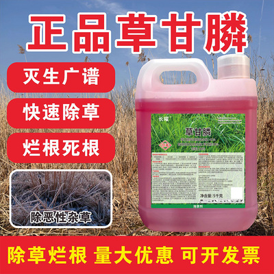 41%草甘磷除草烂根剂正品除草烂根剂正品草甘膦异丙胺盐一扫光药