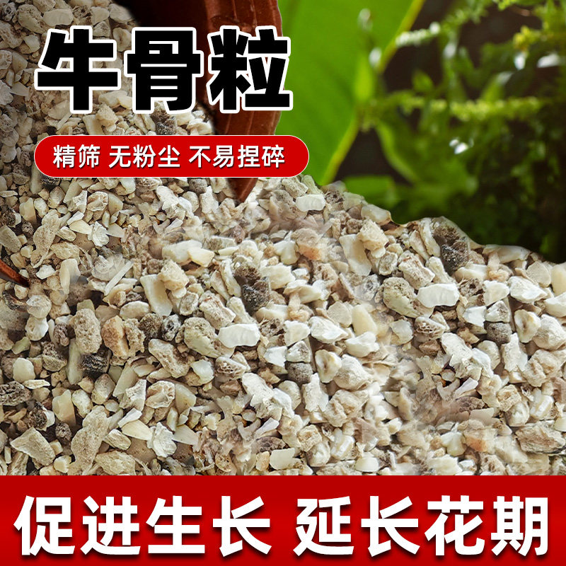 天然牛骨颗粒骨粉健骨花促开花有机君子兰月季石斛铁线莲鸽子