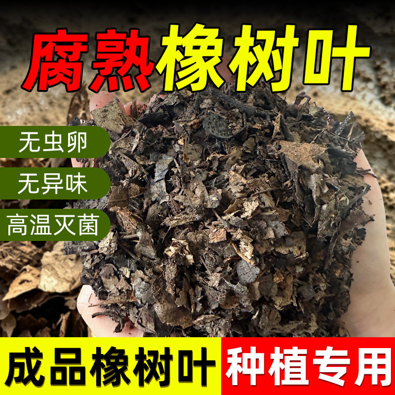 天然腐熟纯橡树叶君子兰专用有机腐叶土粉碎叶大叶兰花通用营养土图片