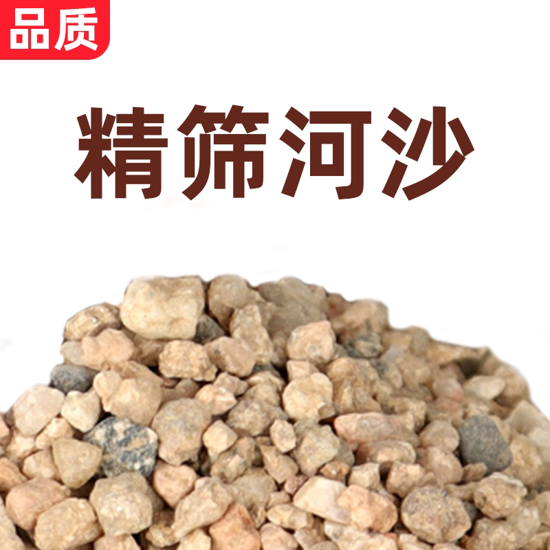 天然河沙沙子粗沙细沙沙土种花土壤种植土鱼缸底沙黄沙沙石营养土
