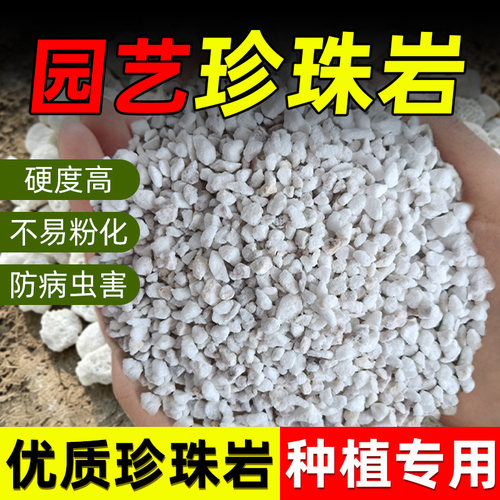 【防止烂根】珍珠岩除尘大颗粒