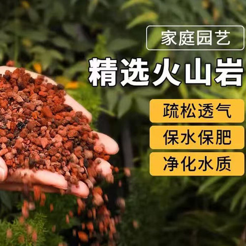 天然火山石岩颗粒多肉兰花专用