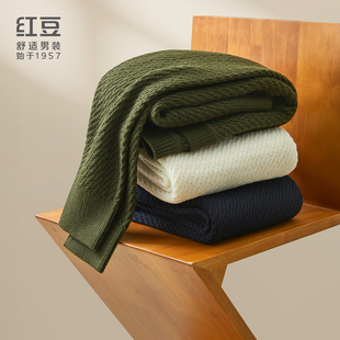 红豆粗针工艺羊毛衫休闲时尚绞花毛衣男青年款HP8M205OSD2