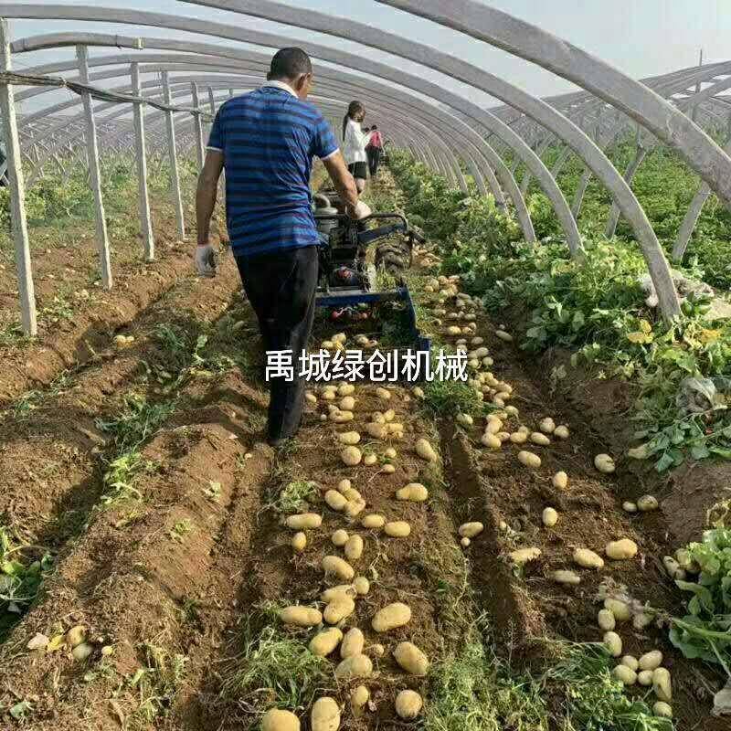 手扶拖拉机带刨地瓜机马铃薯收割机挖洋芋机土豆红薯收获机械