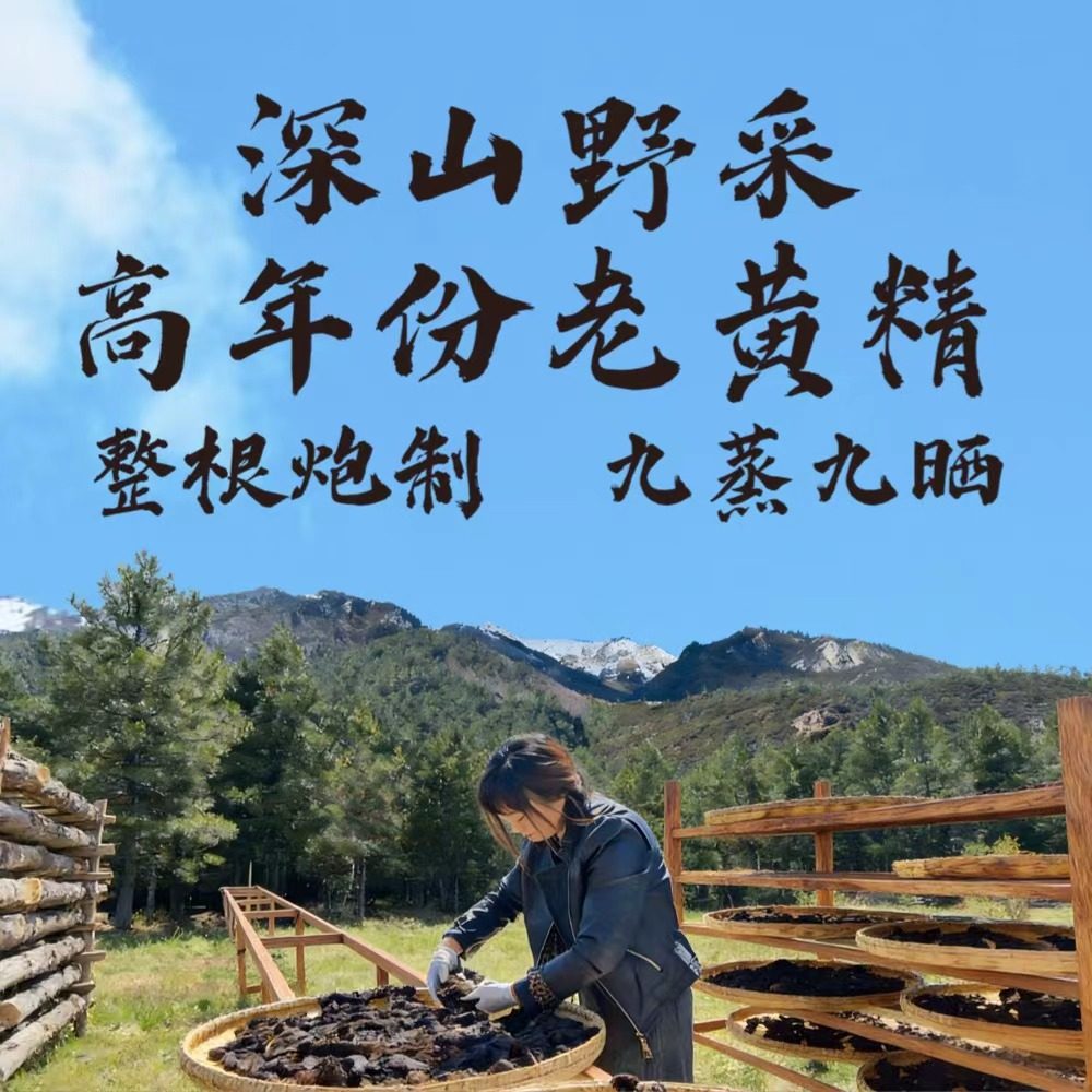 深山野生老黄精九蒸九晒柴火灶九制黄精古法炮制养生滋补孝敬父母