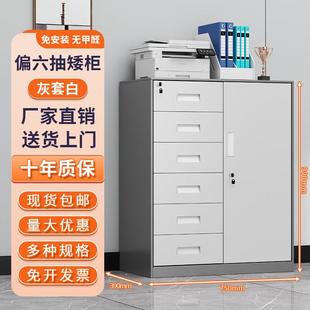 办公室专用铁皮文件柜家用小型多功能收纳柜财务室档案资料凭证柜