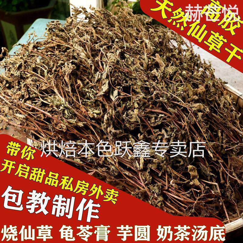 仙草干仙草冻黑凉粉草粿草汁正宗仙人粄草龟苓膏烧仙草 新鲜草干