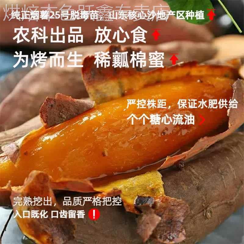 山东薯25号农科院蜜薯糖心地瓜红薯新鲜9斤农家番薯沙地烤山芋