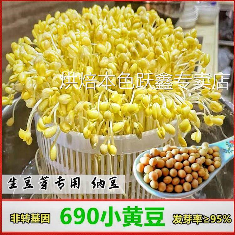 小粒黄豆690发豆芽专用纳豆生豆芽豆农家非转基因珍珠粒小金黄豆