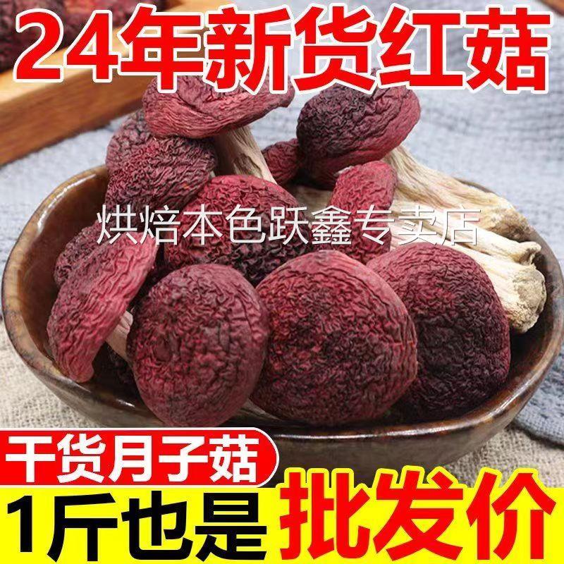 红菇福建正宗蓝底正红菇三明武夷山高品质新菇精选中大标红菇干货