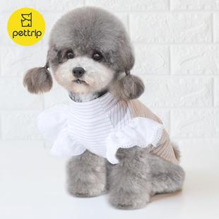 春夏狗衣服宠物泰迪小型犬衣服猫咪打底衣小狗衣服四季 狗衣服新款