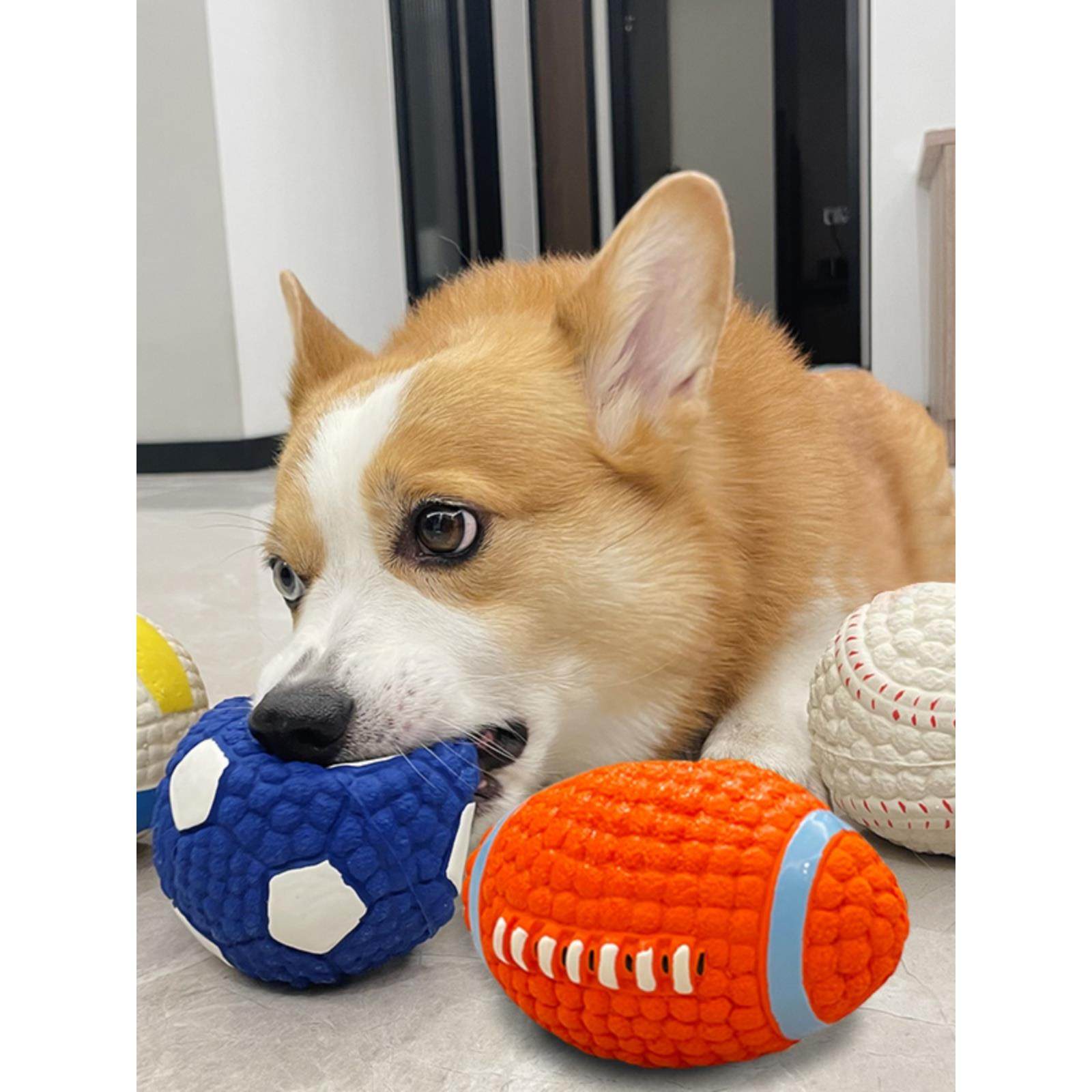 日本进口狗狗玩具耐咬磨牙发声球解闷神器小狗幼犬大型犬宠物用品