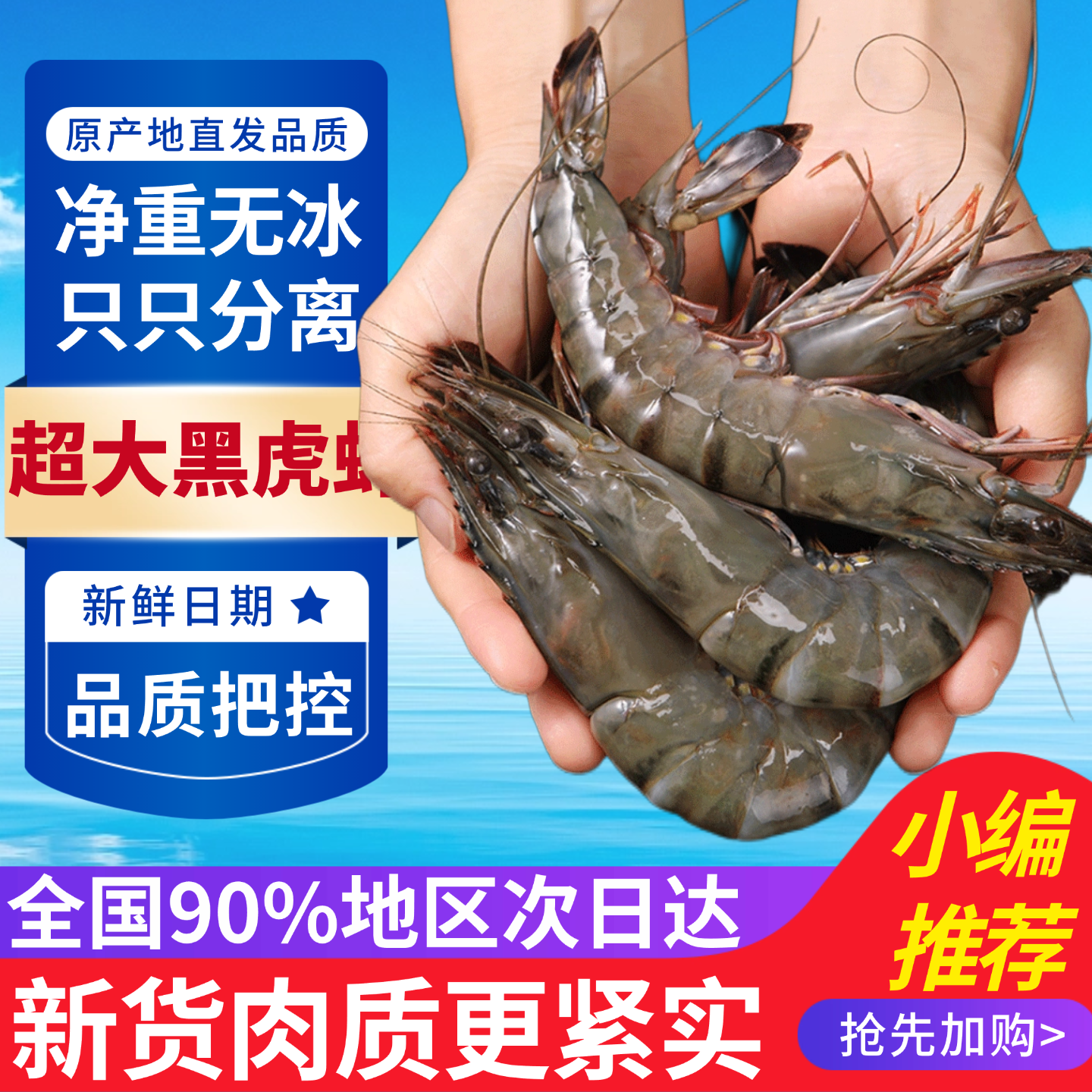 黑虎虾鲜活超大新鲜大虾对虾基围虾斑九节虾海虾活虾速冻海鲜水产,水产肉类/新鲜蔬果/熟食,冻虾,淘宝优惠券,粉丝福利购,淘宝优惠卷
